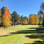 Pinetop Lakes Golf & Country Club Hole #5