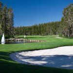 Saddlebrook Golf Course